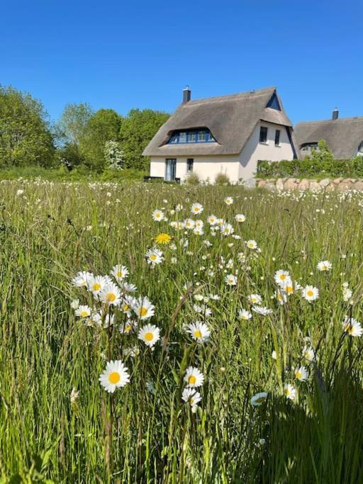 Stilvolles Reetdachhaus Coastline An Der Ostsee Groß Schwansee 외부 사진