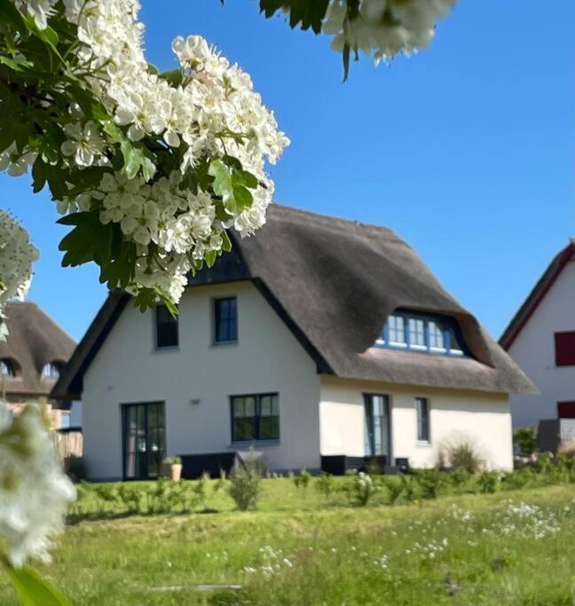 Stilvolles Reetdachhaus Coastline An Der Ostsee Groß Schwansee 외부 사진