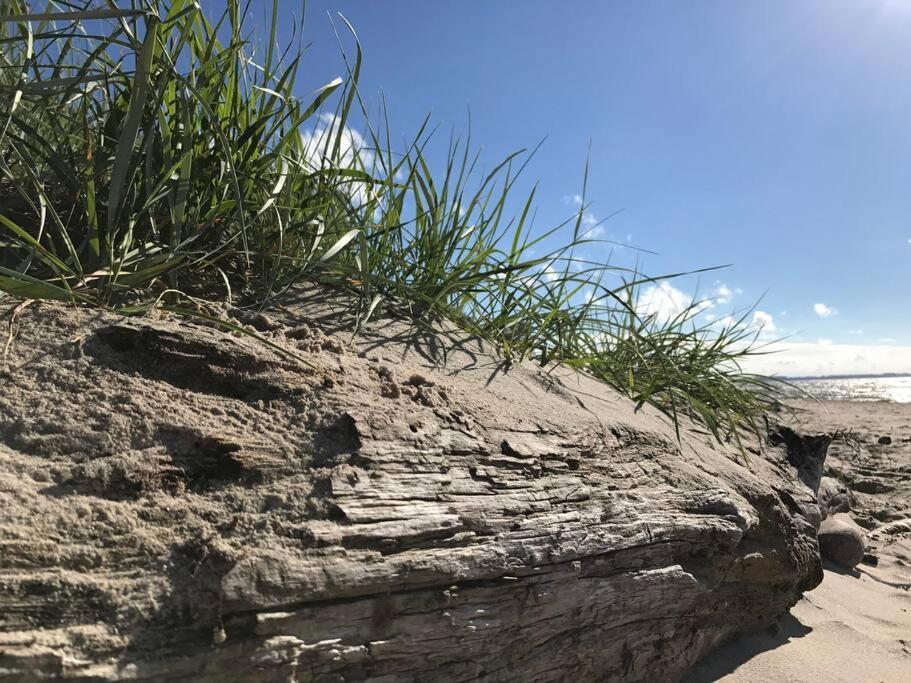 Stilvolles Reetdachhaus Coastline An Der Ostsee Groß Schwansee 외부 사진